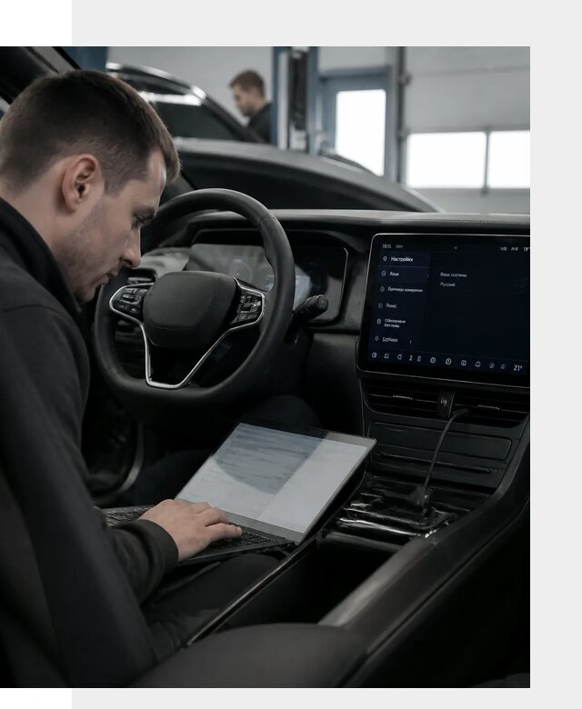 Русификация автомобилей BYD под ключ для всех моделей в Георгиевске